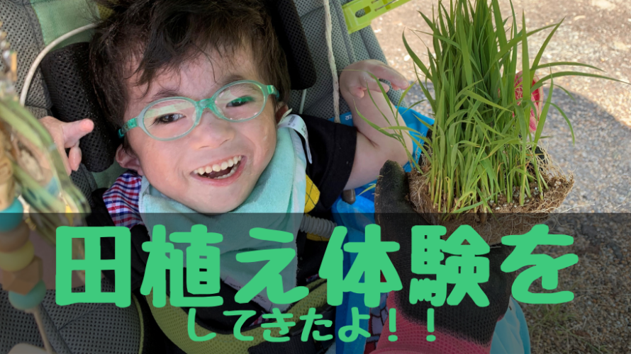 田植え体験をしてきたよ!|山形旅行【前編】
